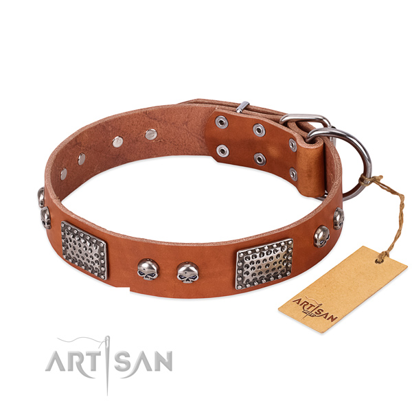 Easy wearing full grain leather dog collar for walking your pet