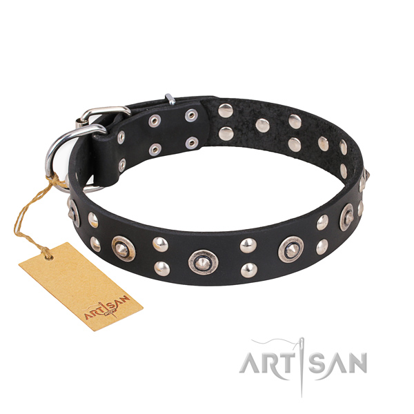 Fancy walking trendy dog collar with reliable hardware