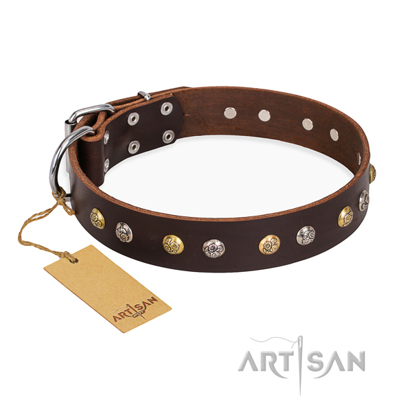 Everyday use extraordinary dog collar with strong hardware