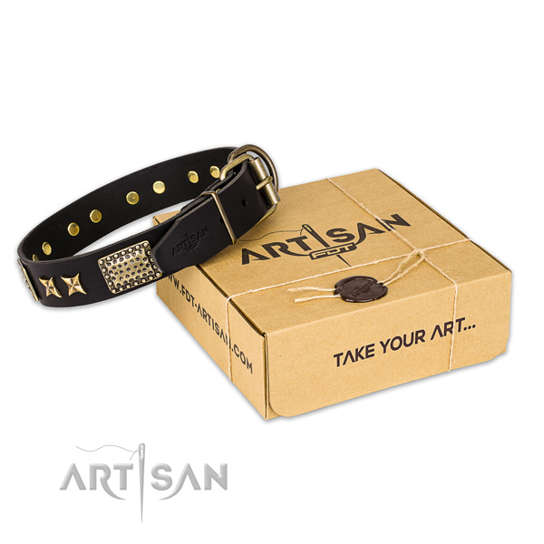 Corrosion resistant traditional buckle on full grain leather collar for your attractive dog