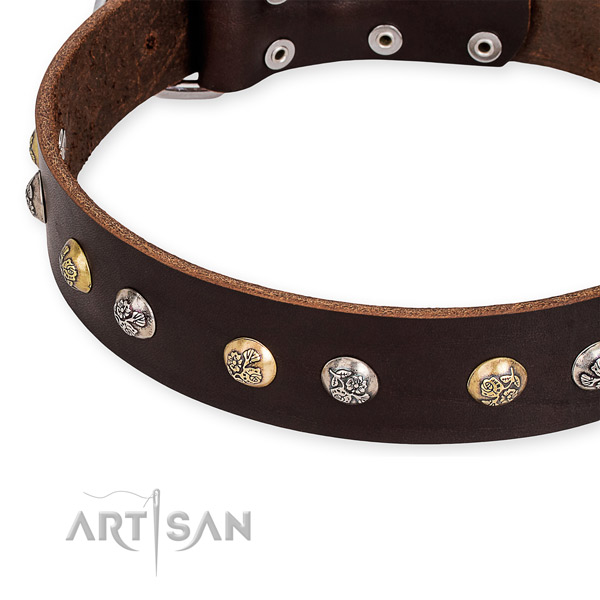 Full grain genuine leather dog collar with designer corrosion proof adornments