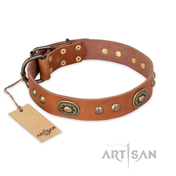 Stunning leather dog collar for fancy walking