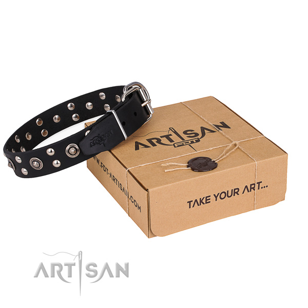 Fancy walking dog collar with Impressive strong decorations