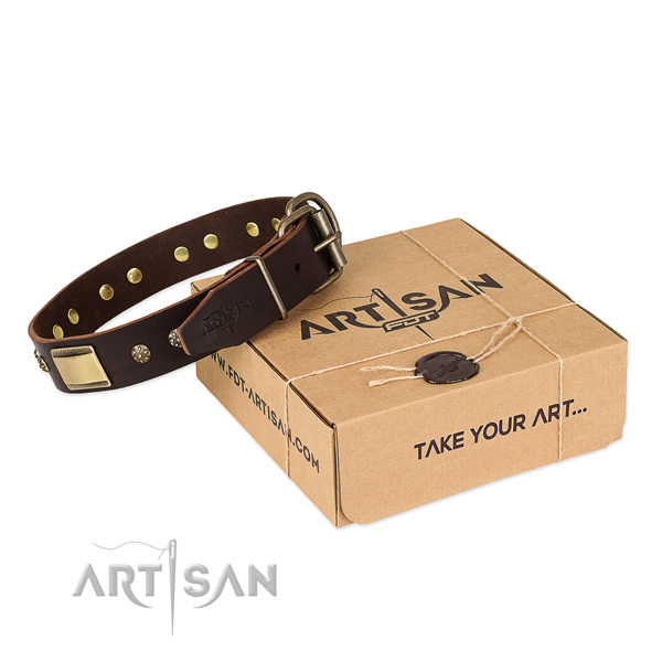 Adjustable genuine leather collar for your impressive pet
