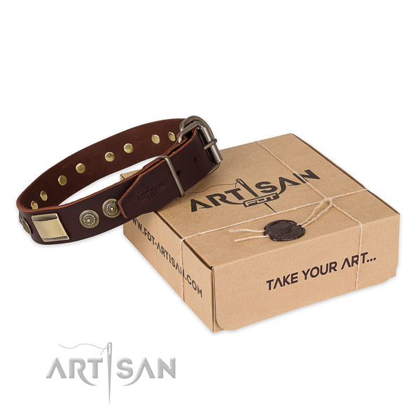 Reliable buckle on full grain natural leather dog collar for walking