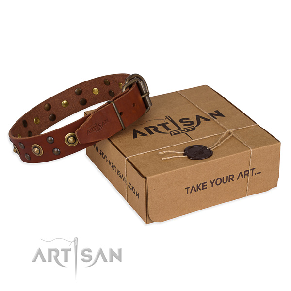 Corrosion proof buckle on full grain genuine leather collar for your impressive dog