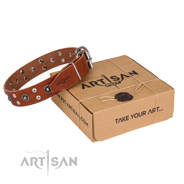Rust-proof D-ring on full grain genuine leather collar for your beautiful pet