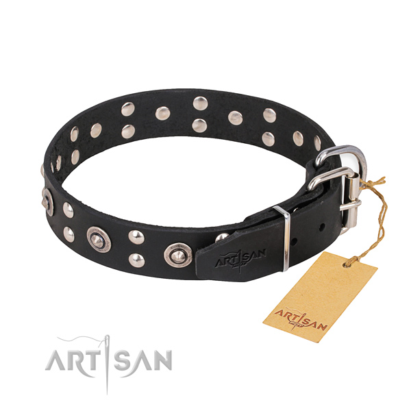 Full grain leather dog collar with unusual rust resistant adornments