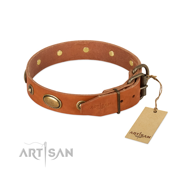 Corrosion resistant hardware on leather dog collar for your dog