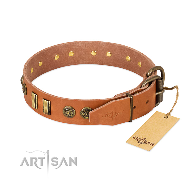 Reliable embellishments on full grain natural leather dog collar for your four-legged friend