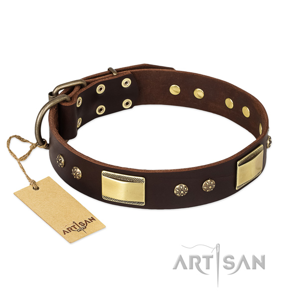 Genuine leather dog collar with durable hardware and adornments