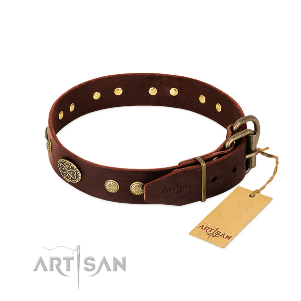 Durable traditional buckle on Genuine leather dog collar for your pet