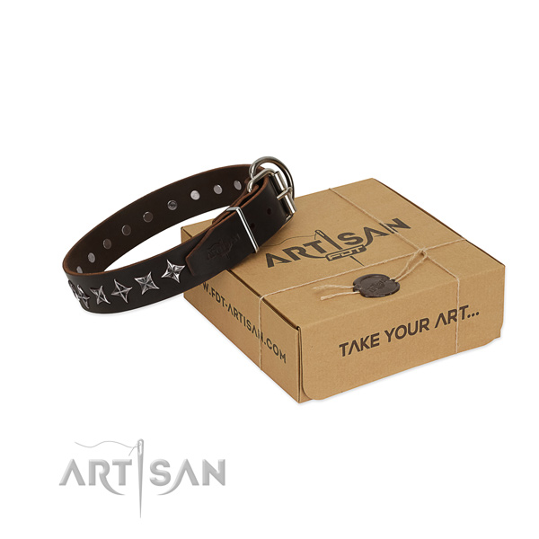 Daily use dog collar of finest quality full grain genuine leather with studs