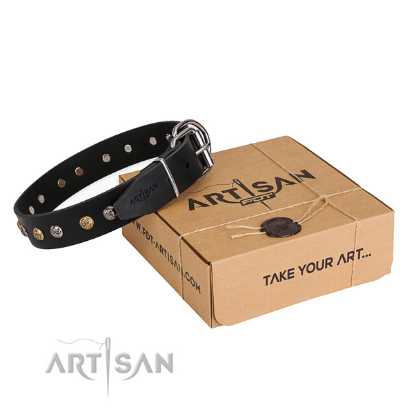 Top rate full grain genuine leather dog collar crafted for stylish walking