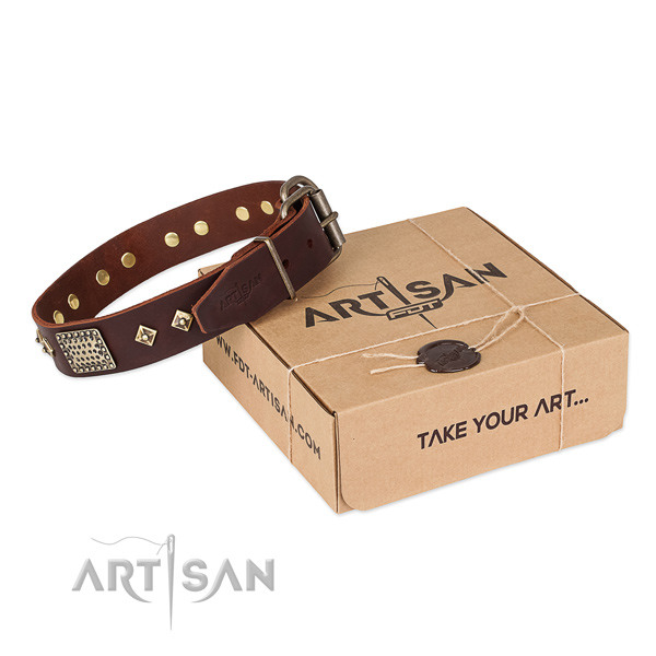 Impressive genuine leather collar for your beautiful four-legged friend