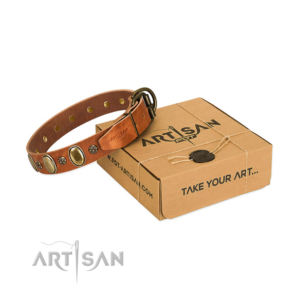 Fancy walking gentle to touch full grain leather dog collar with adornments