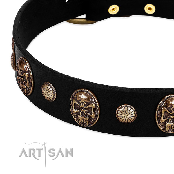 Full grain leather dog collar with fashionable embellishments