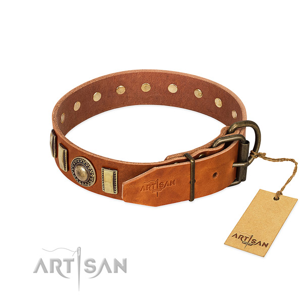 Incredible full grain natural leather dog collar with rust-proof fittings