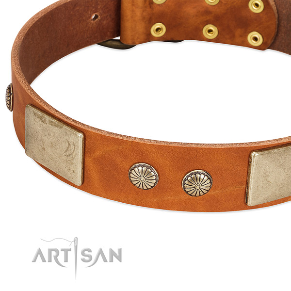 Rust resistant traditional buckle on full grain natural leather dog collar for your four-legged friend