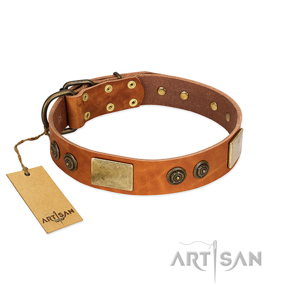 Adjustable full grain genuine leather dog collar for daily use
