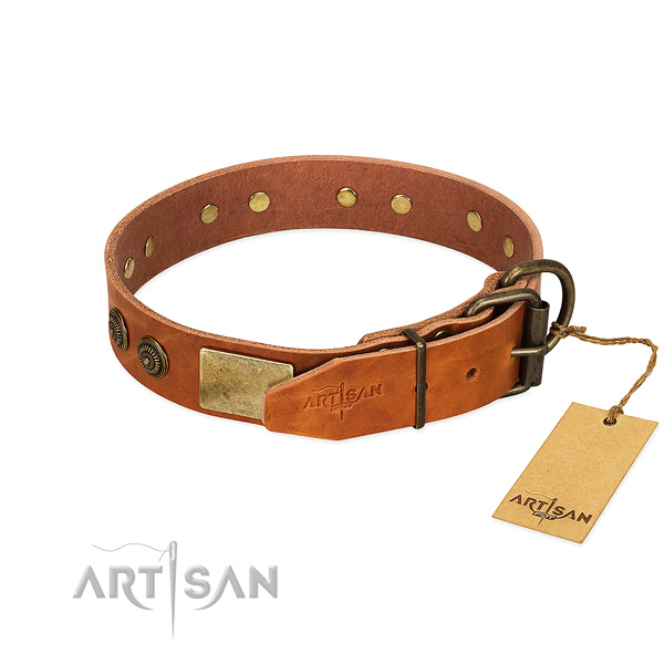 Corrosion proof fittings on full grain leather collar for everyday walking your dog