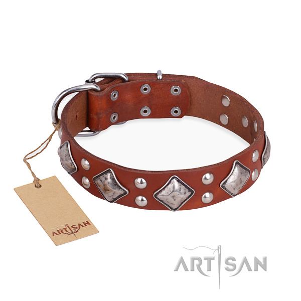 Stylish walking best quality dog collar with rust resistant buckle