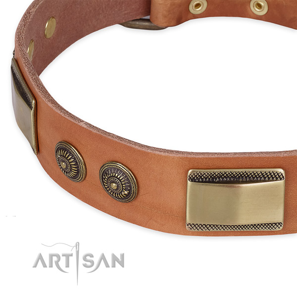 Significant leather collar for your lovely canine