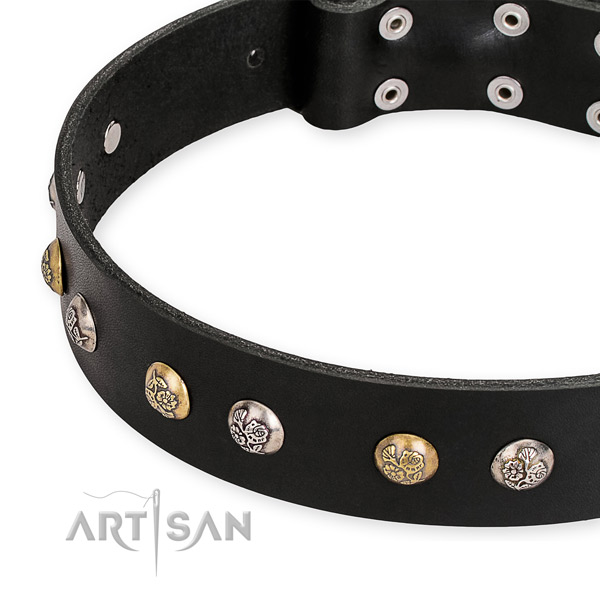 Full grain leather dog collar with remarkable durable adornments