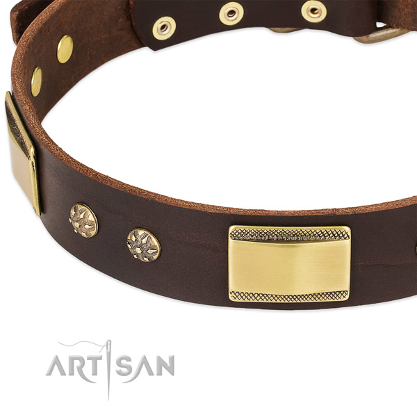 Rust-proof buckle on leather dog collar for your four-legged friend