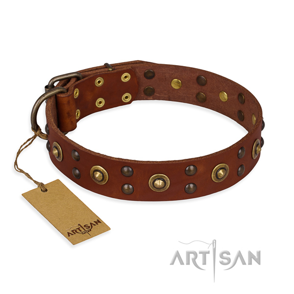 Studded full grain leather dog collar with reliable D-ring