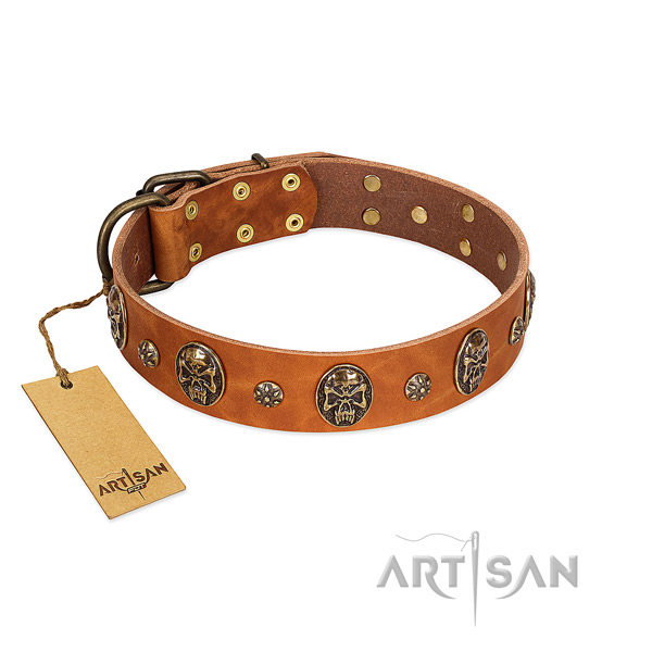 Incredible leather collar for your dog