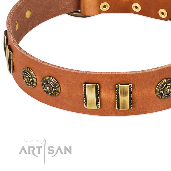 Reliable studs on leather dog collar for your canine