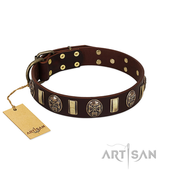 Handcrafted genuine leather dog collar for basic training
