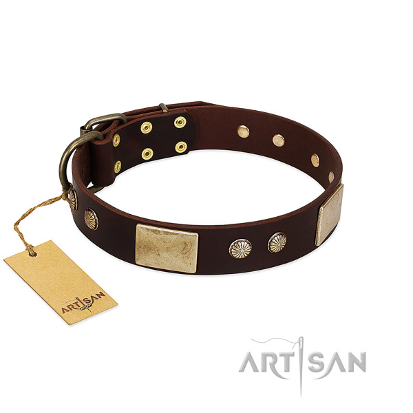 Easy wearing full grain leather dog collar for daily walking your canine