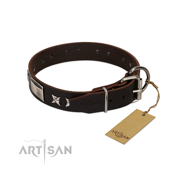 Exquisite collar of full grain natural leather for your lovely canine