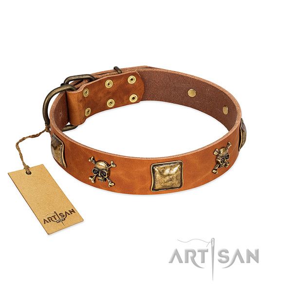 Unusual genuine leather dog collar with durable adornments