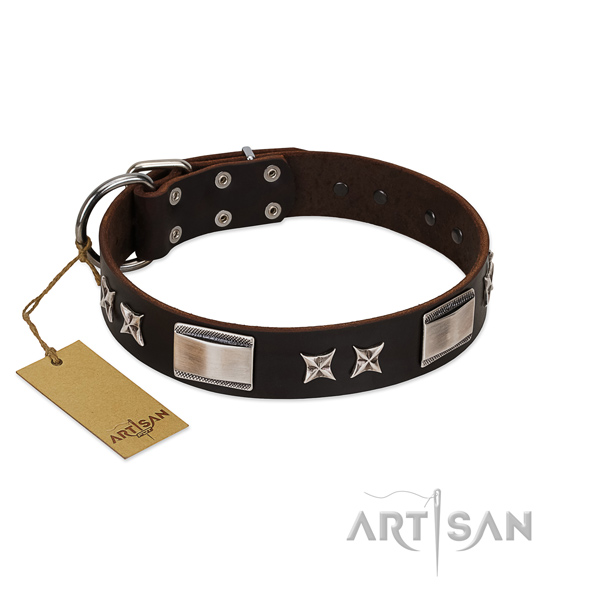 Significant dog collar of full grain genuine leather