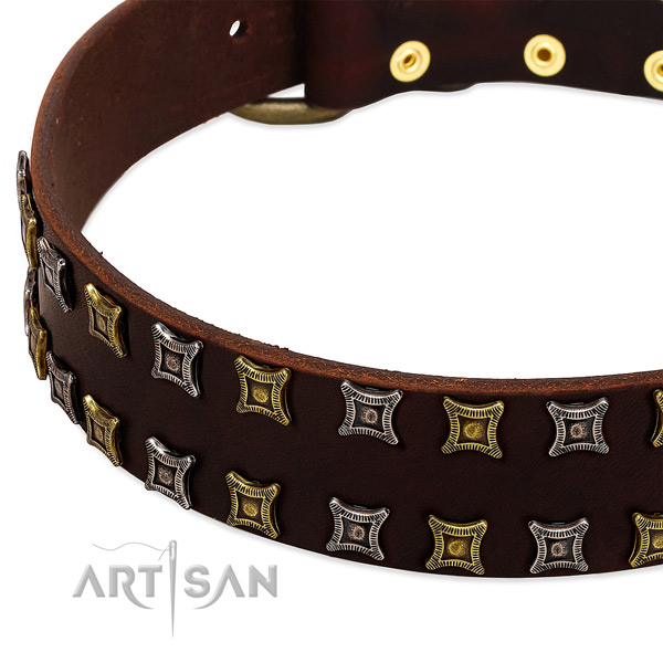 Strong full grain leather dog collar for your lovely canine
