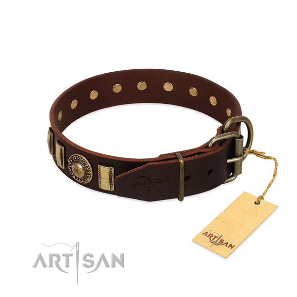 Incredible leather dog collar with reliable buckle