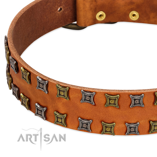 High quality full grain natural leather dog collar for your attractive four-legged friend