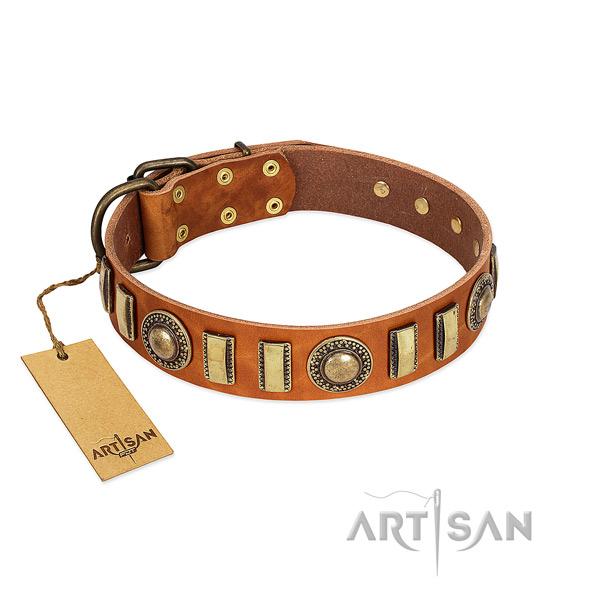 Studded full grain genuine leather dog collar with durable fittings
