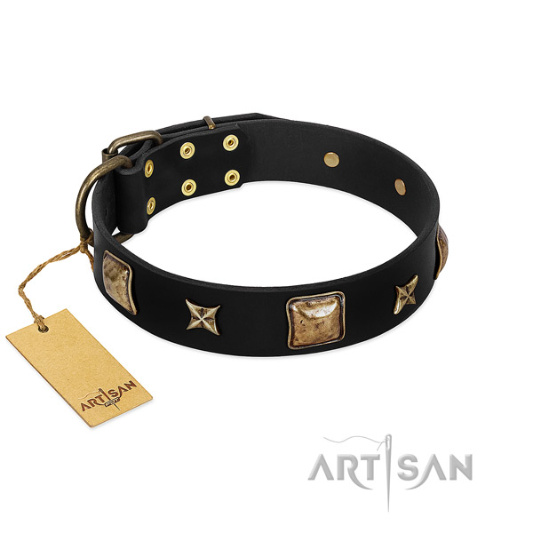 Full grain leather dog collar of top notch material with exceptional decorations