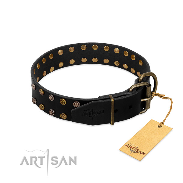 Natural leather collar with inimitable studs for your dog