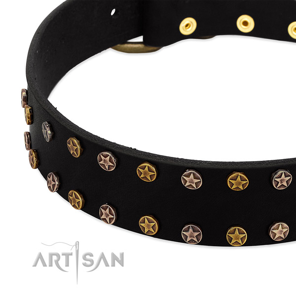 Extraordinary embellishments on natural leather collar for your doggie