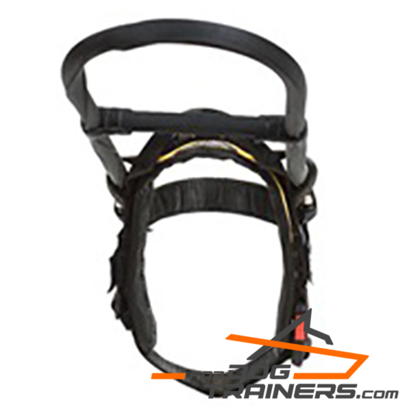 Durable Reflective Harness for Guide Dog