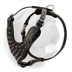 Spiked Leather Dog Harness that Helps to Avert Pressure from the Neck of a Dog