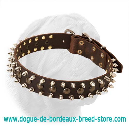 do spiked collars hurt dogs