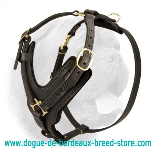 LEATHER DESIGNER DOG HARNESS, COLLAR, CHAIN LEAD COMBINE SET WITH ALL BRASS  FIT