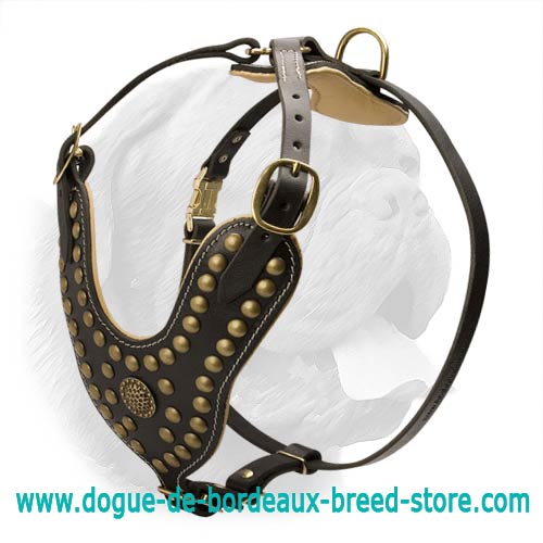 LEATHER DESIGNER DOG HARNESS, COLLAR, CHAIN LEAD COMBINE SET WITH ALL BRASS  FIT