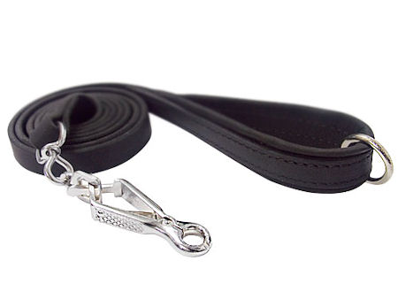 Strong leather best sale dog lead